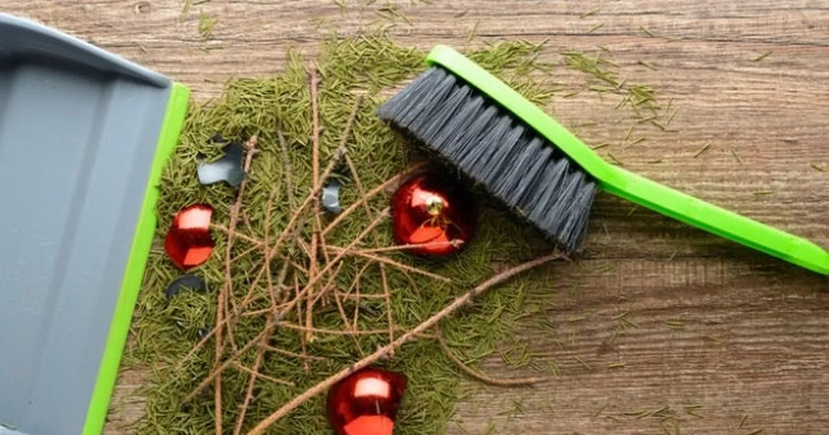 Cover image for the article "Can You Vacuum Pine Needles? Tips for Efficient Floor Cleaning"