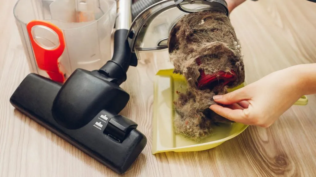 Cover image for the article "How to Clean Your Vacuum Cleaner Brush: Simple Tips for Effective Maintenance"