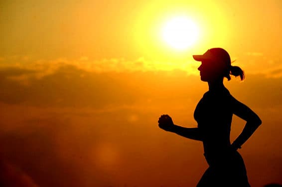 Cover image for the article "The Path to Wellness: A Guide to Optimal Health"